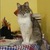 Отзыв от Аня Шубина